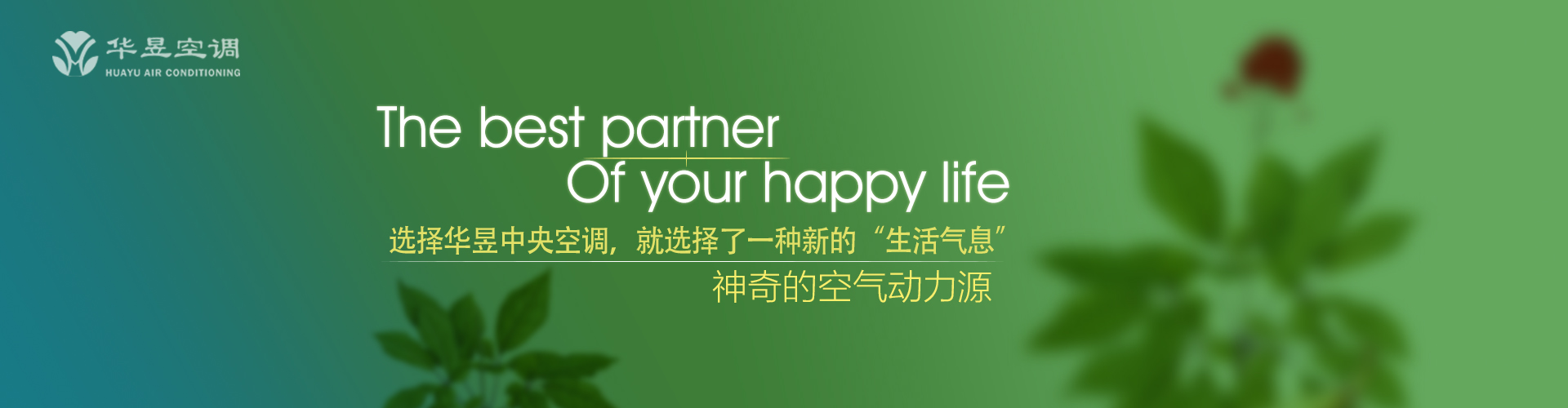 寂若无人网